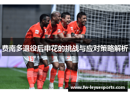 费南多退役后申花的挑战与应对策略解析