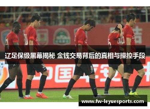 辽足保级黑幕揭秘 金钱交易背后的真相与操控手段 辽足保级黑幕揭秘 金钱交易背后的真相与操控手段