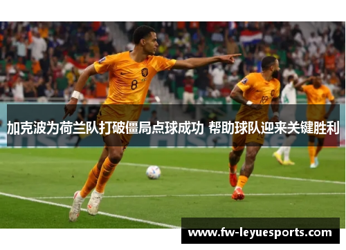 加克波为荷兰队打破僵局点球成功 帮助球队迎来关键胜利 加克波为荷兰队打破僵局点球成功 帮助球队迎来关键胜利
